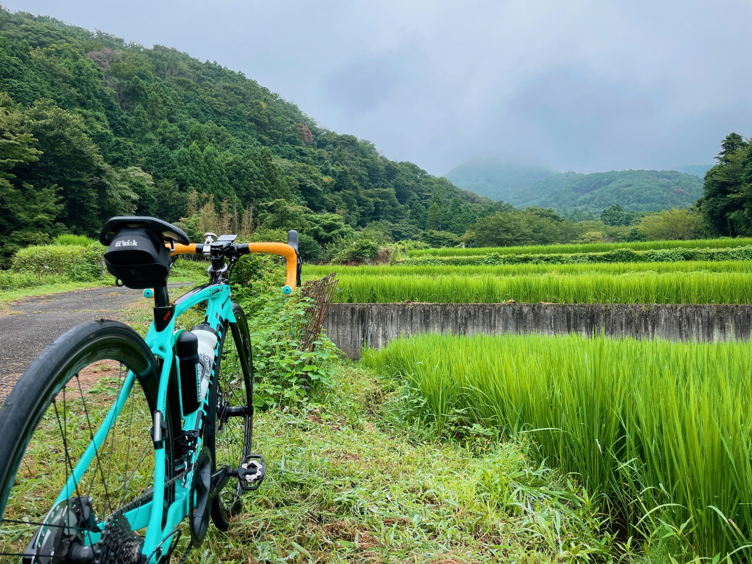 CD63DD4C-A376-441A-9905-